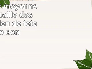 nylon bleu foncé 66 laisse pour moyenne à grande taille des chiens chien de tête corde