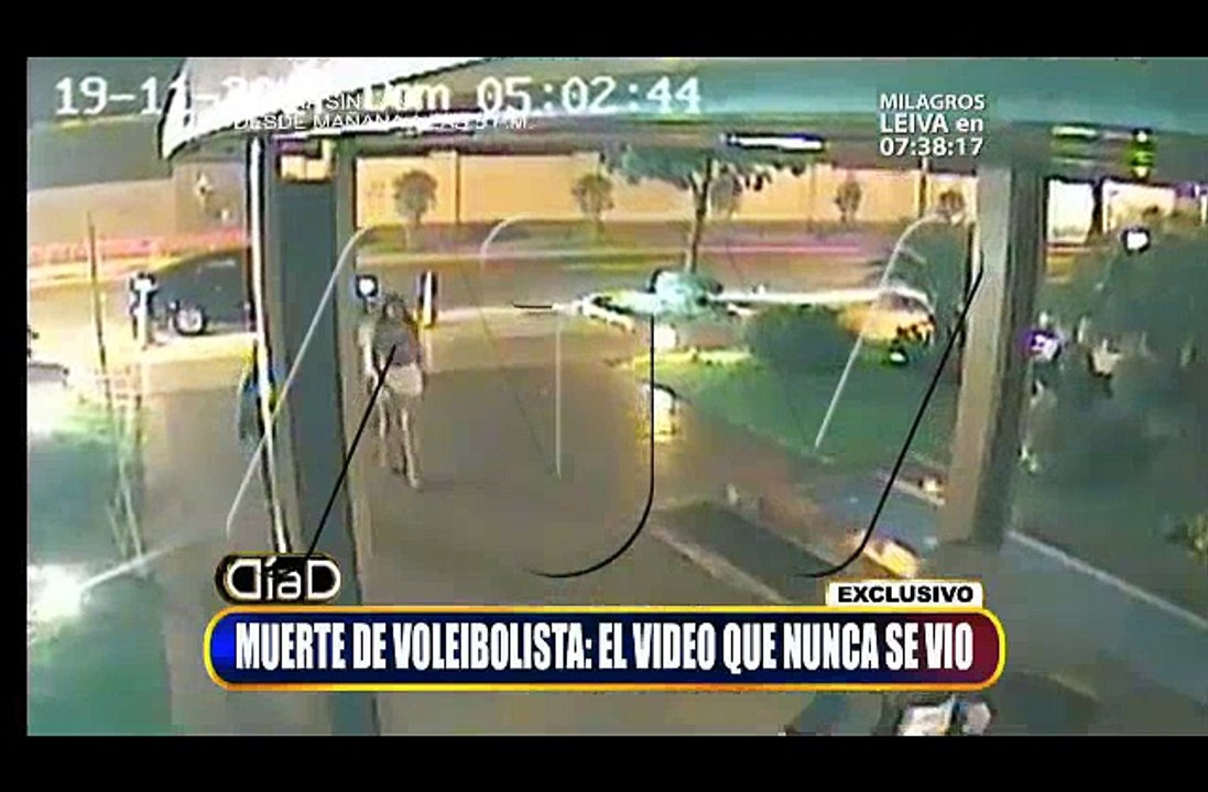 Voleibolista