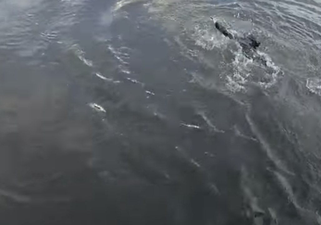 Bury Police Officer Jumps Into River to Save Drowning Man