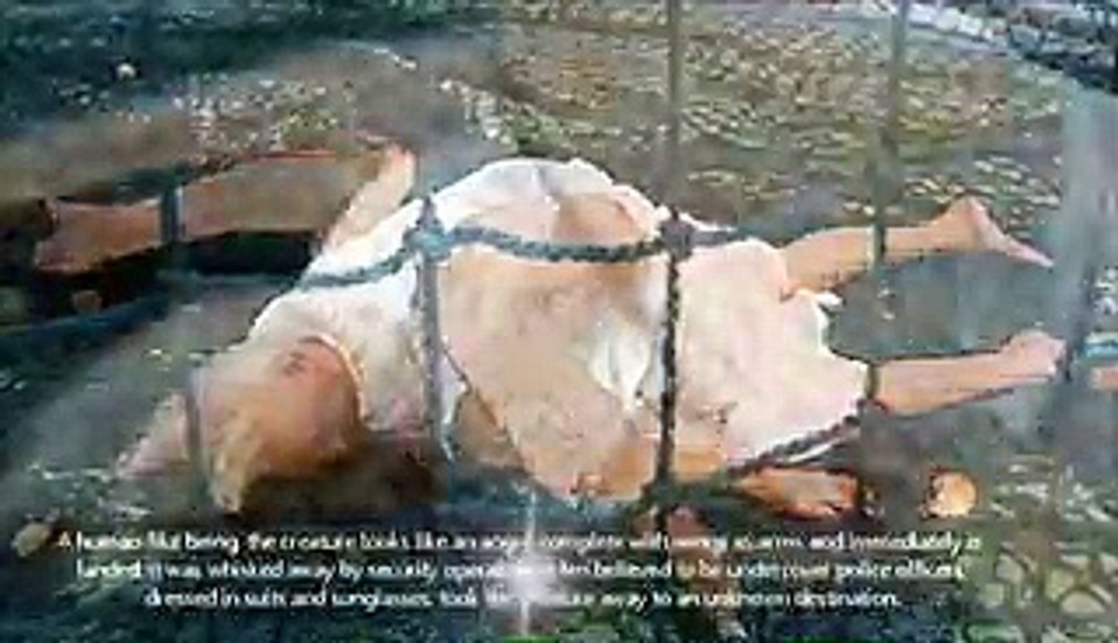 لندن کی سڑک پر آسمان سے گرنے والی فرشتہ نما مخلوق جسے وہاں