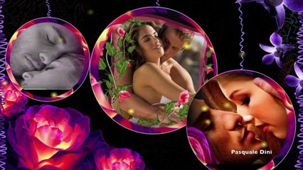 Chris Haugen -Spanish Rose.