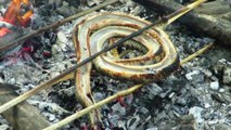 Primitive Technology - Find wild snake by Spear in river - cooking snake eating delicious