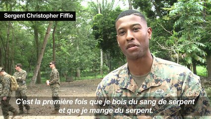 Thaïlande: du sang de cobra au menu des soldats