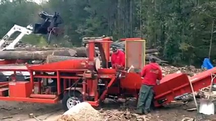 Redfern Tree Service Delivers Firewood for Sale All-Year Round