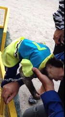 Emotion d'un singe retrouvant son ancien dresseur après des années de séparations !