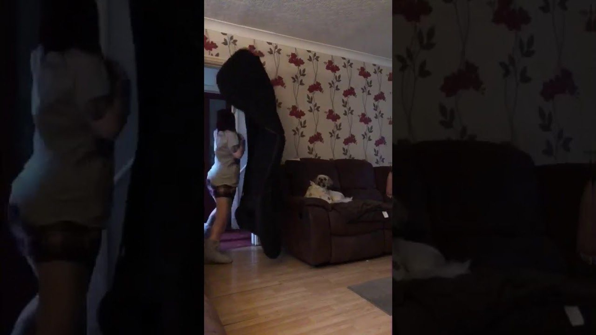 Elle fait un tour de magie à son chien avec un couverture - Vidéo  Dailymotion