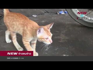 ข่าวชนข่าว | ช่วงที่ 2 | 26 ม.ค. 61 | NEW18