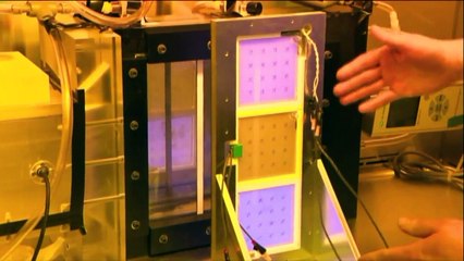 Special UV Light Could Kill AIrborne Flu Virus: Study