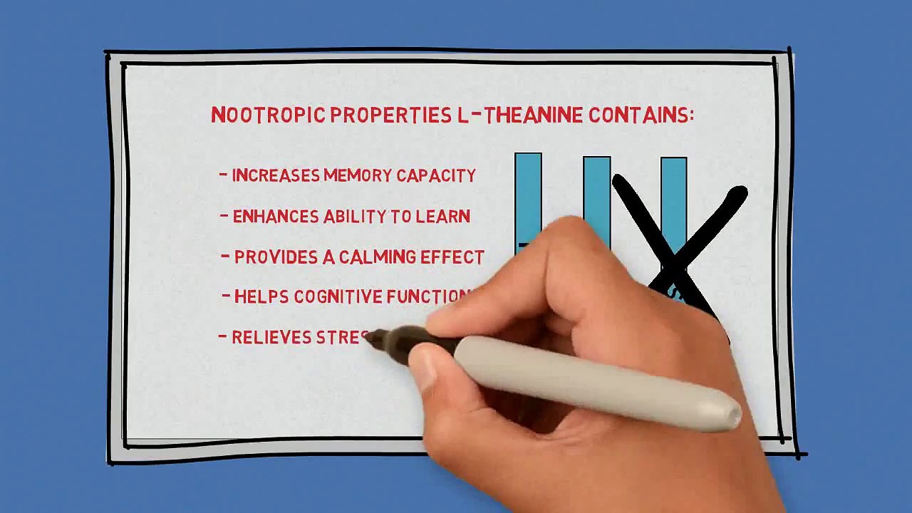 These Three Nootropics Will SERIOUSLY Improve Your Memory And Focus!
