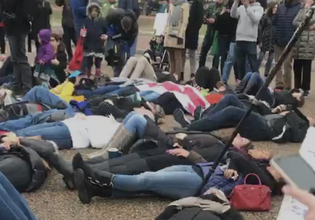 Students Stage Lie-In at White House in Response to Florida High School Shooting