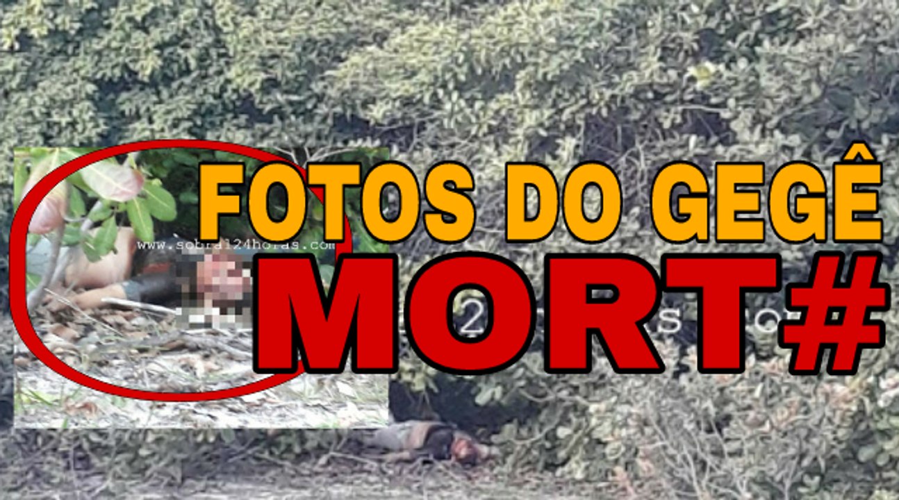 FOTOS DO GEGÊ DO MANGUE MORTO