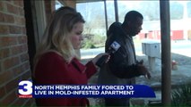 Man Says Family is Getting Sick from Mold-Infested Apartment