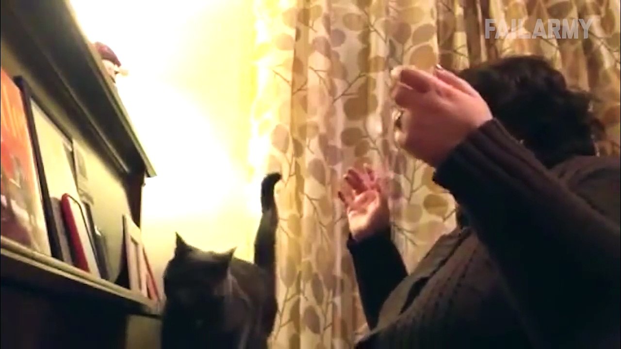 Funny Cat Fails Compilation    by FailArmy 2018