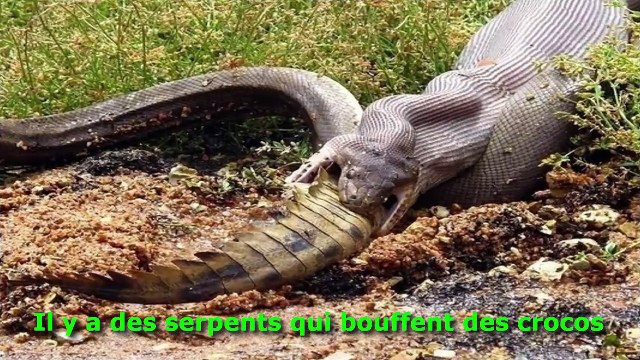 29 photos qui prouvent que l'Australie est vraiment un pays de fou