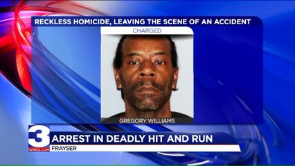 Good Samaritan Stops Driver After Child Killed in Hit-and-Run