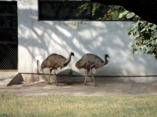 Zoological Park, New Delhi