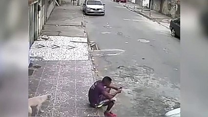 Perro callejero orina sobre un hombre y este se vuelve loco