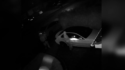 Roban este Mercedes en menos de un minuto de forma increíble