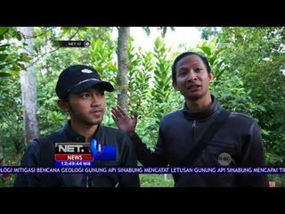 Nikmati Hutan Pinus Di Ketinggian 1250 Mdpl - NET 12