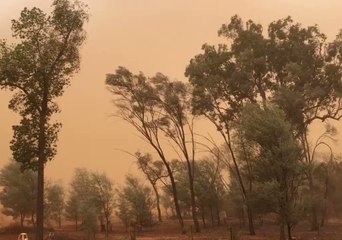 Tải video: Dust Blankets Charleville Sky