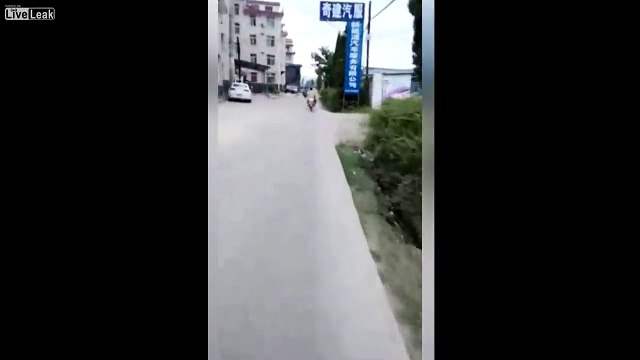 Dogs dragged by motorcycles