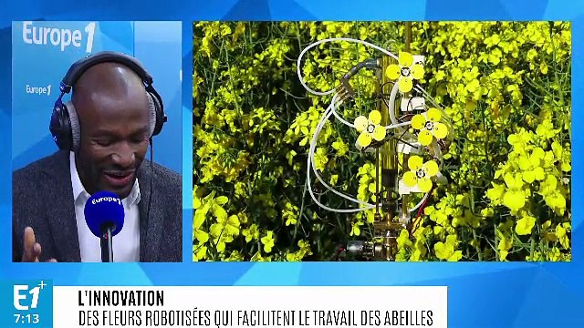 Des fleurs robotisées qui facilitent le travail des abeilles pour polliniser les espèces en danger