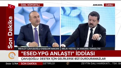 Zeytin Dalı operasyonu