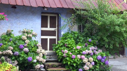 La Place du Village [S.1][E.108] - S1:E108