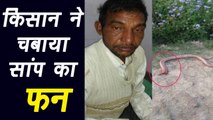 Uttar Pradesh's Hardoi Angry Farmer chews snakes hood । वनइंडिया हिंदी