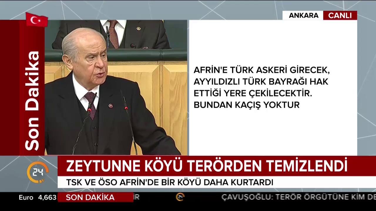 Zeytin Dalı