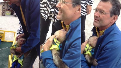 Les retrouvailles d'un singe avec un vieil ami