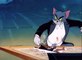 Tom and Jerry Classic Collection Episode 052 - Tom and Jerry in the Hollywood Bowl [1950]