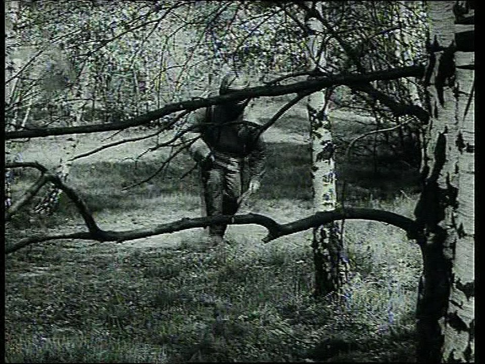 Schutz- und Fährtenhunde der Grenztruppen