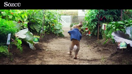 Sony, ‘Tavşan Peter’ filmi için özür diledi
