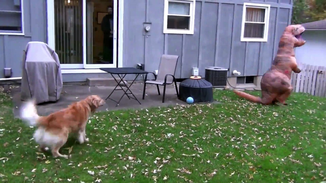 Dog vs. Dinosaur