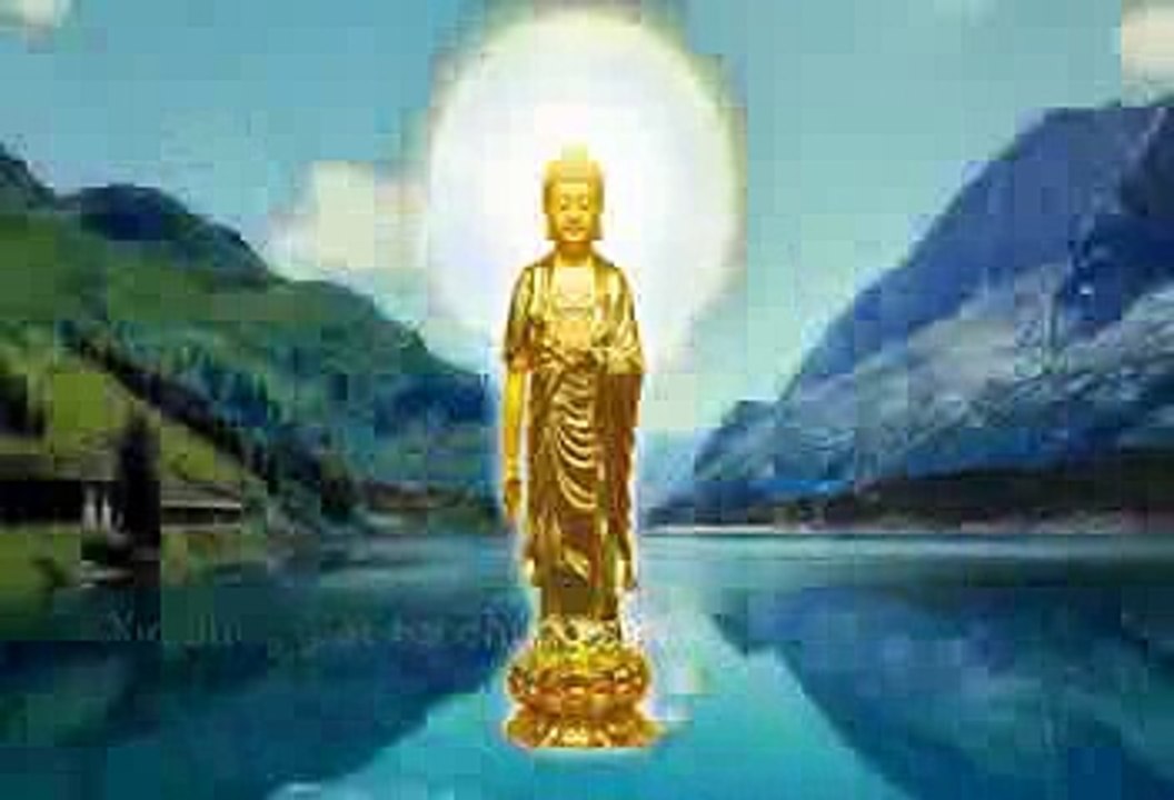 XIN ĐỪNG GIẾT HẠI CHÚNG SANH VÔ TỘI……………  NAM M...