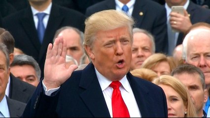 Can Trump really drain 'the swamp' in Washington DC?