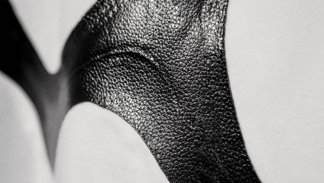 It Looks, Smells, And Feels Like Real Leather But It’s Grown In A Lab