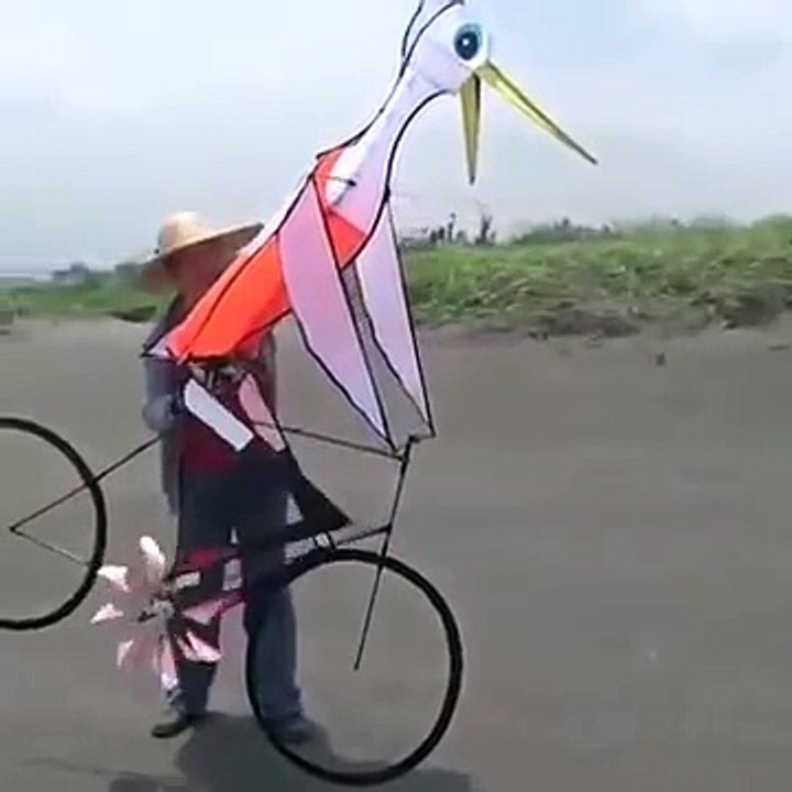 WhatsApp nice video i