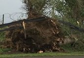 Ex-Cyclone Gita Hits New Zealand's South Island