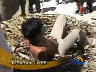 ROBABAN CUYES - HUANTA