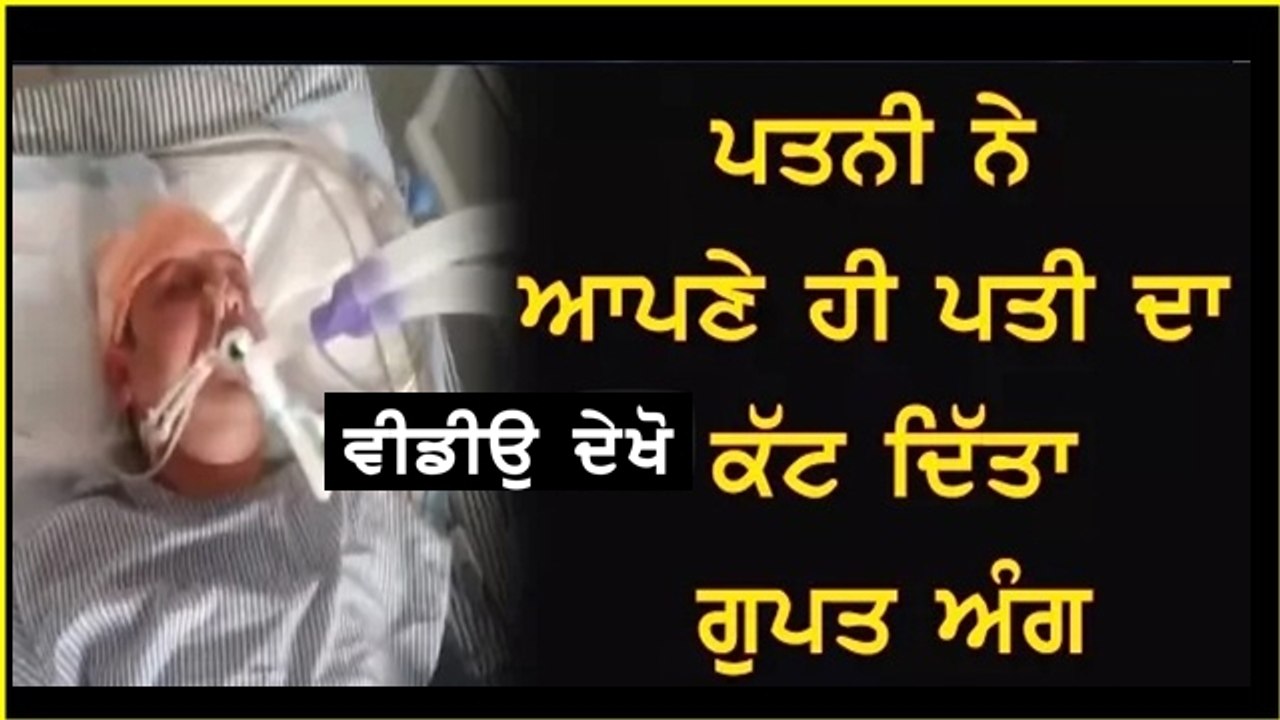 jalandhar news