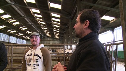 Le secteur agricole peine à recruter