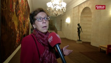 "Les médias n'aiment pas Wauquiez et veulent lui faire la peau" selon la sénatrice Catherine Procaccia