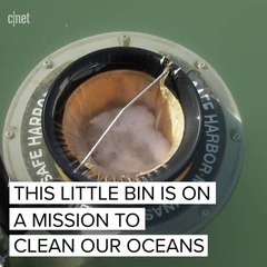 Seabin tech that cleans our oceans