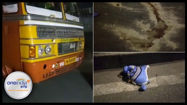 சென்னை பாடி அருகே இருசக்கர வாகனம் மீது லாரி மோதி விபத்து- வீடியோ