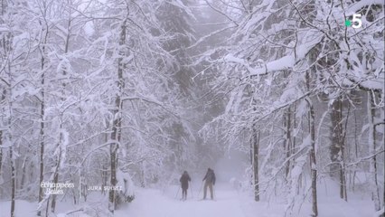 Magie blanche dans le Jura suisse - Échappées belles