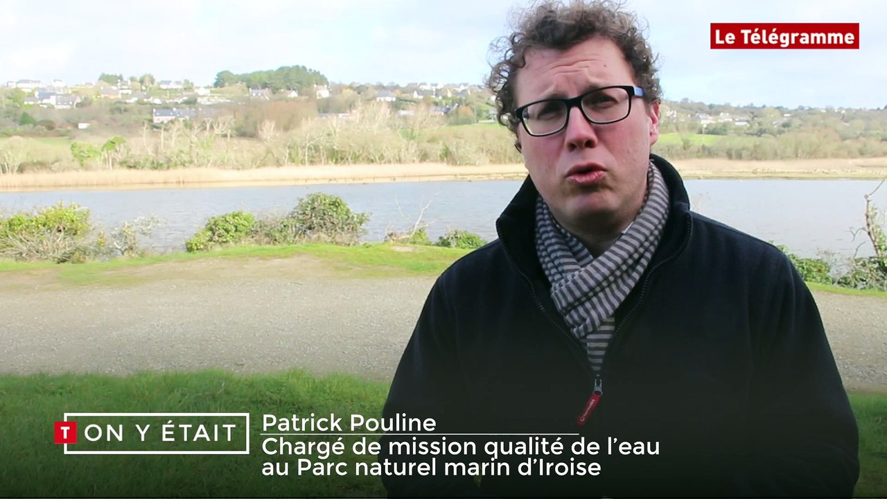 Crozon (29). Opération de dépollution du marais de l'Aber