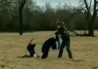 Download Video: Game Warden Captures Flightless Bald Eagle With Injured Wing