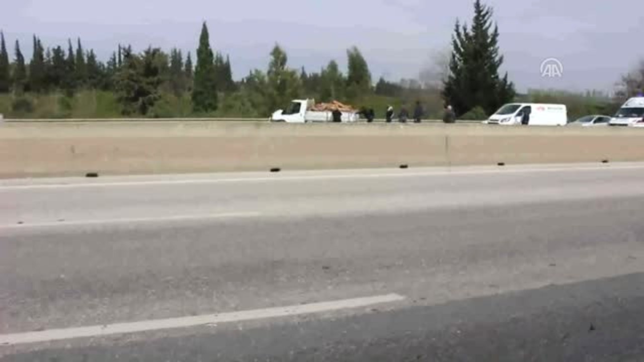 Trafik Kazası